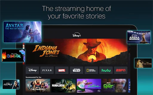 ดาวน์โหลด Disney+ เวอร์ชันล่าสุด – สตรีมภาพยนตร์และซีรีส์ที่คุณชื่นชอบ - Screenshot 8