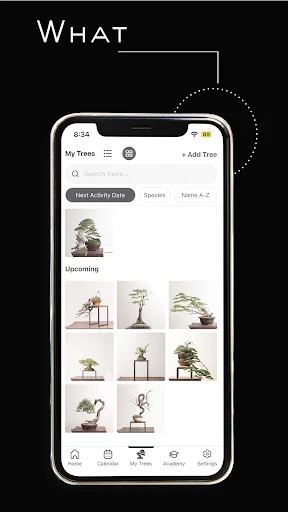 ดาวน์โหลด Mirai Mobile ล่าสุด – คู่มือดูแลบอนไซส่วนตัวของคุณ - Screenshot 8