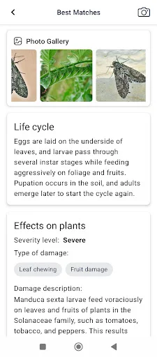 ดาวน์โหลด Plant disease เวอร์ชั่นล่าสุด – ตรวจสอบโรคพืชผ่านรูปภาพฟรี - Screenshot 9