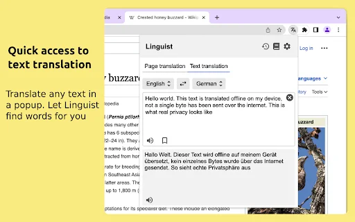 ดาวน์โหลด Linguist – ส่วนขยายแปลภาษาบนเว็บที่ดีที่สุด แปลไว รองรับ 130+ ภาษา - Screenshot 3