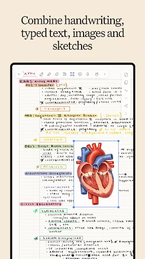 ดาวน์โหลด Notability: แอปจดโน้ตและจัดการ PDF ฟรี – ใช้งานง่ายบนมือถือ - Screenshot 6
